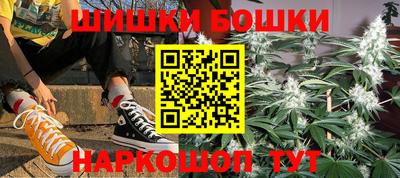 стаф Моздок