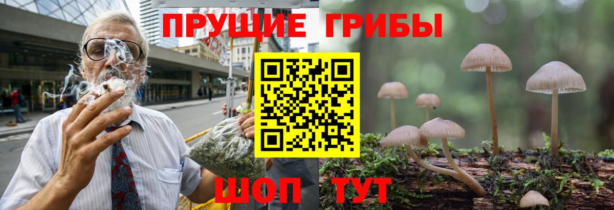 Псилоцибиновые грибы Psilocybine cubensis  Вход с VPN  Ялуторовск 
