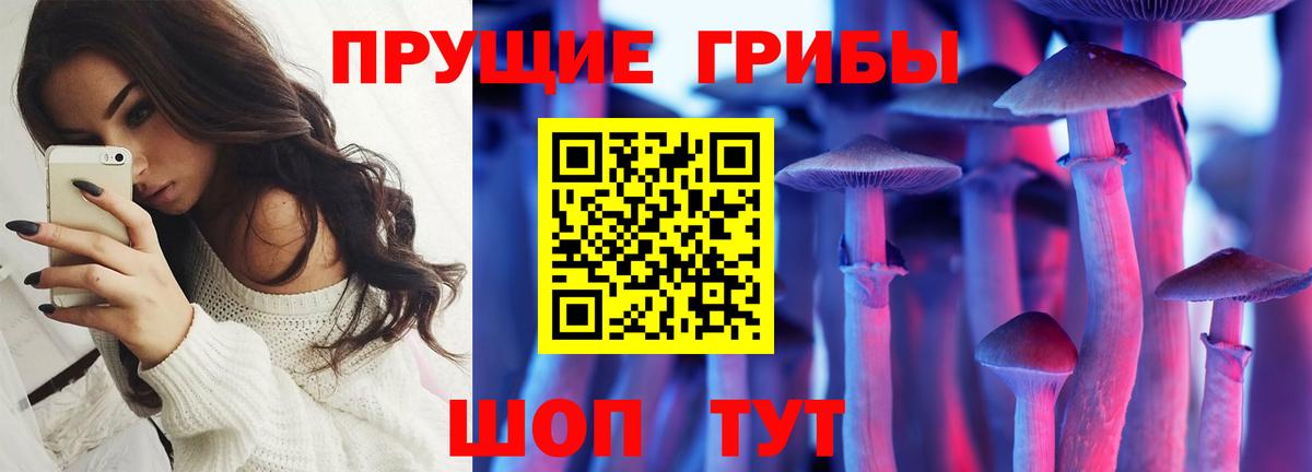 Галлюциногенные грибы Psilocybine cubensis Ялуторовск